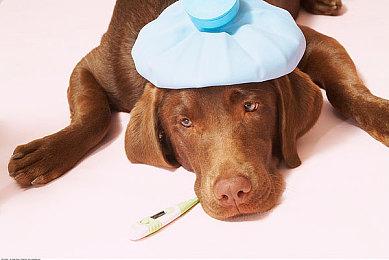 《星刃》是如何开发的？索尼发布Shift Up快速一览视频